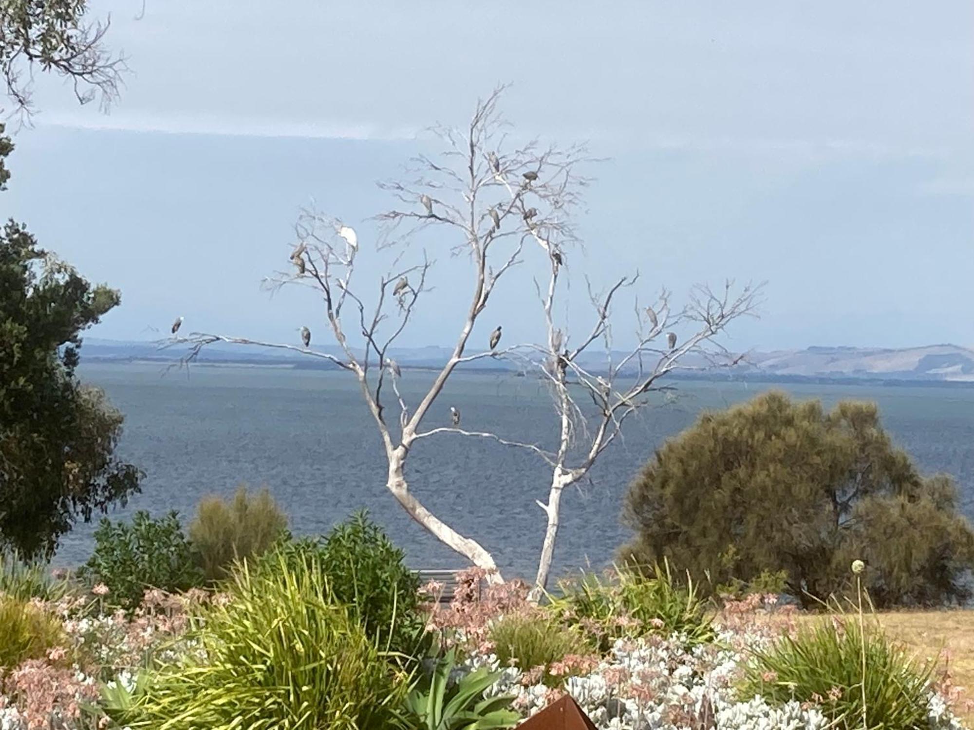 Pleasant Point Cottage Phillip Island Rhyll Exterior photo