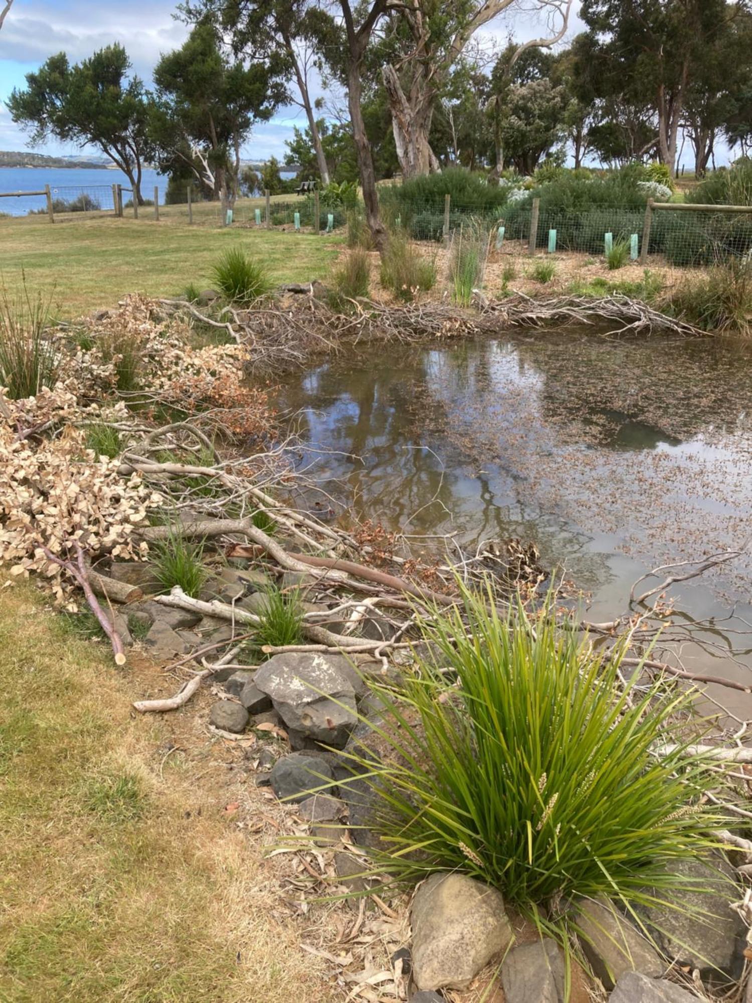 Pleasant Point Cottage Phillip Island Rhyll Exterior photo